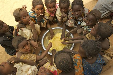 US & Mindless Greens Bringing World To Starvation In 2023