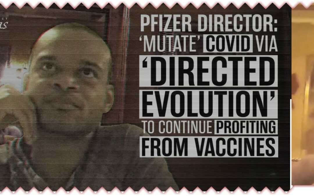 Pfizer: Part of Pharma Criminal Cabal Protected By Government