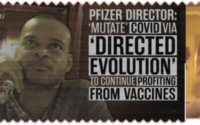 Pfizer: Part of Pharma Criminal Cabal Protected By Government