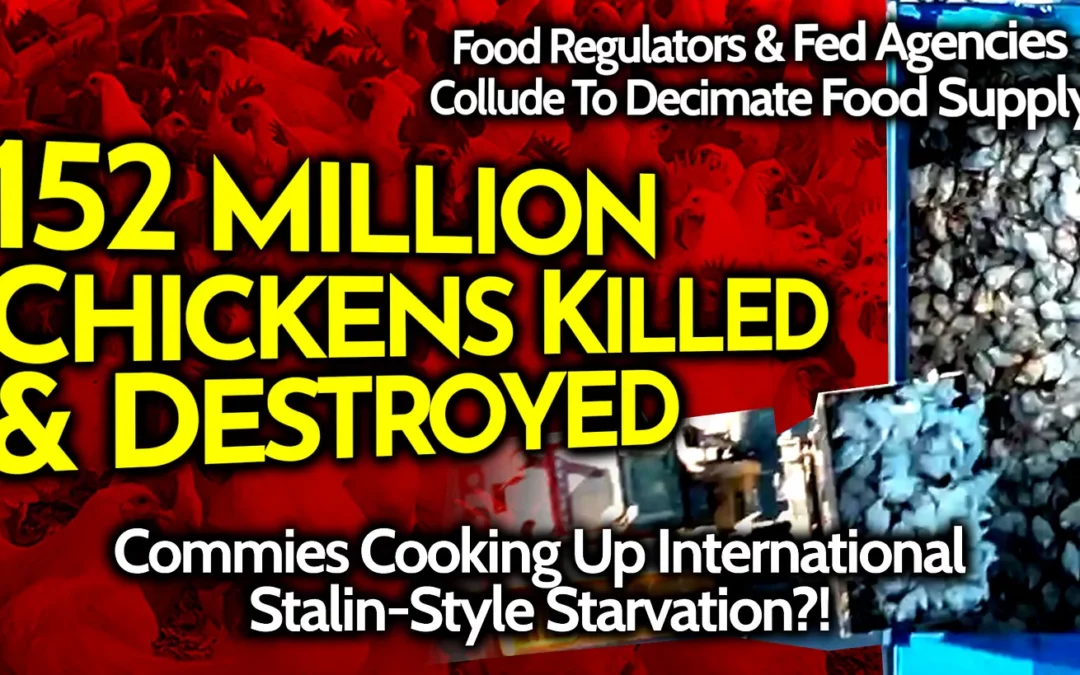 Globalist Food Destruction Proceeding Everywhere: Famine