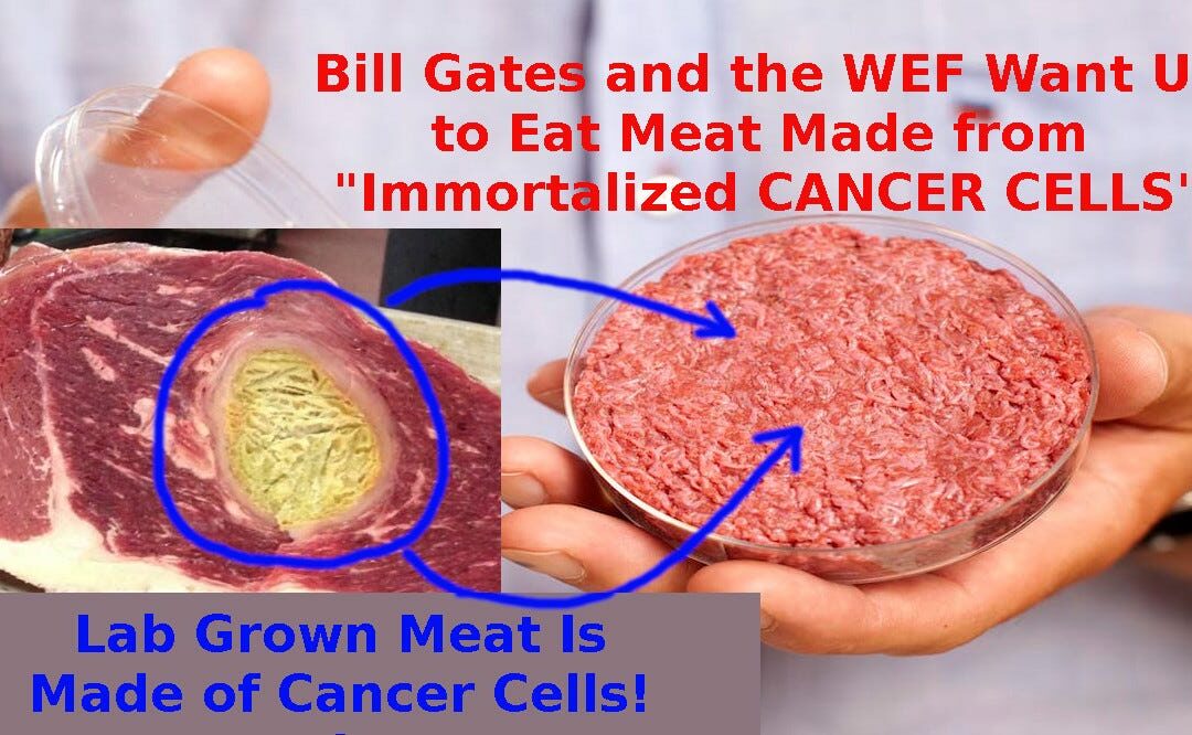 Gates is Scheming For You to Eat Only Cancer Meat